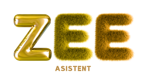 zee asistent png
